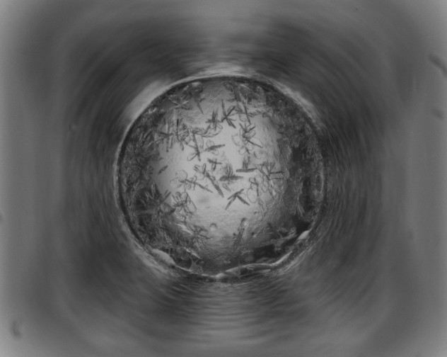 X0000097471423200802291300