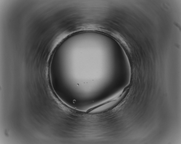 X0000097471424200802291300