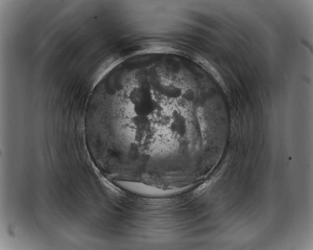 X0000097471425200802291300