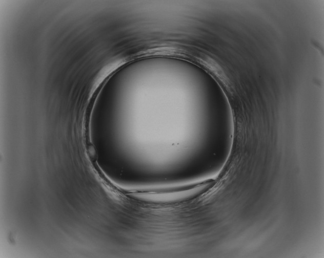 X0000097471426200802291300