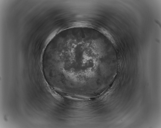 X0000097471427200802291300