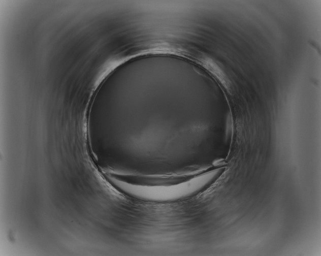 X0000097471428200802291300