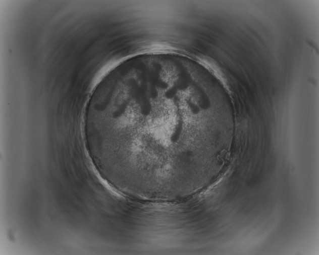 X0000097471429200802291300