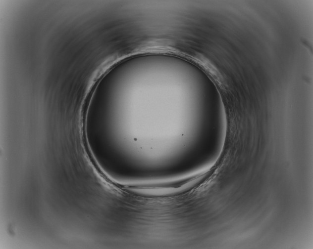 X0000097471430200802291300