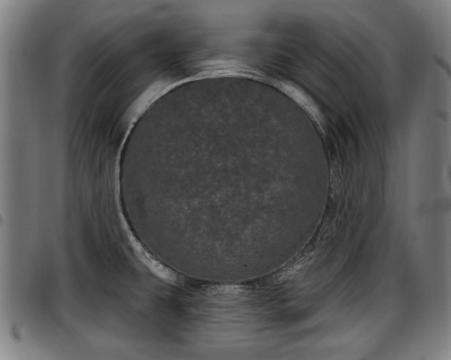 X0000097471431200802291300
