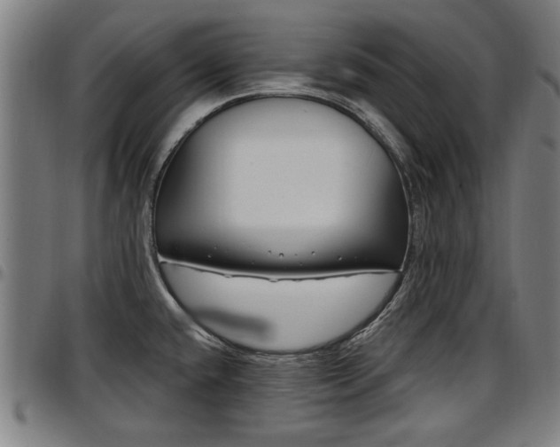 X0000097471432200802291300