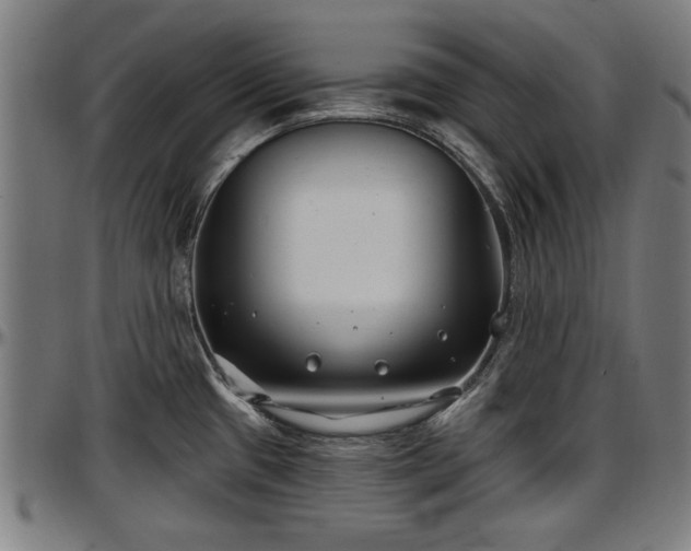 X0000097471433200802291300