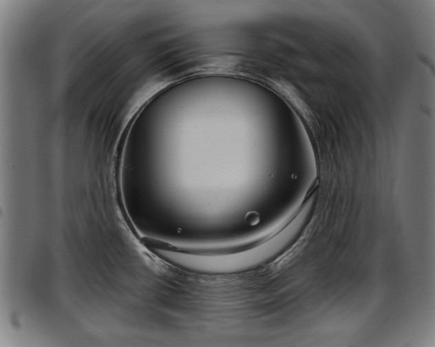 X0000097471434200802291300