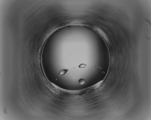 X0000097471435200802291300