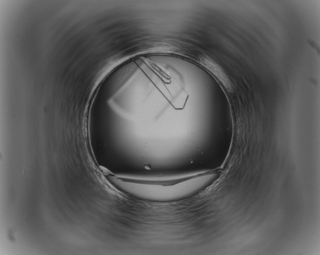 X0000097471436200802291300