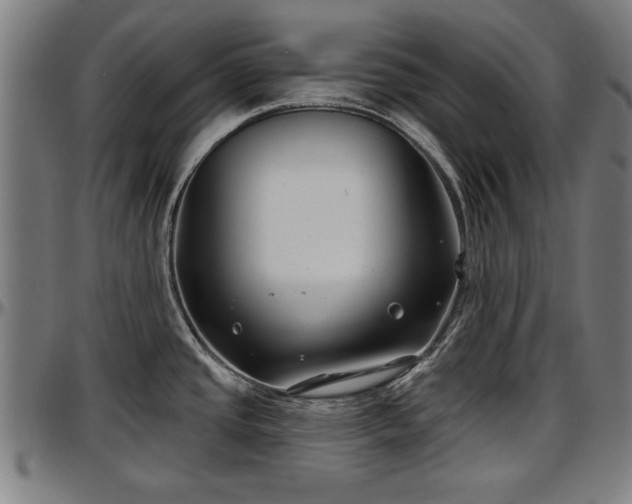 X0000097471437200802291300