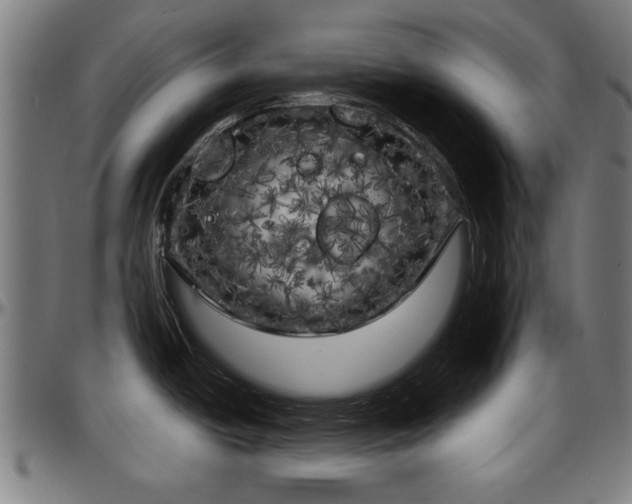 X0000097471438200802291300