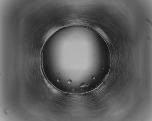 X0000097471439200802291300