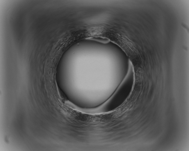 X0000097471441200802291259