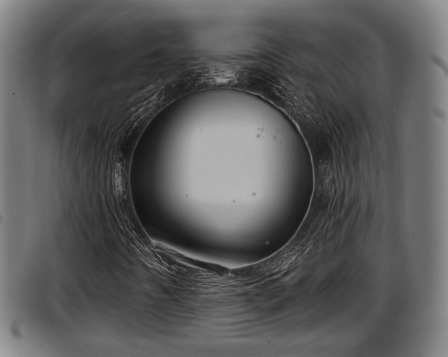 X0000097471442200802291259