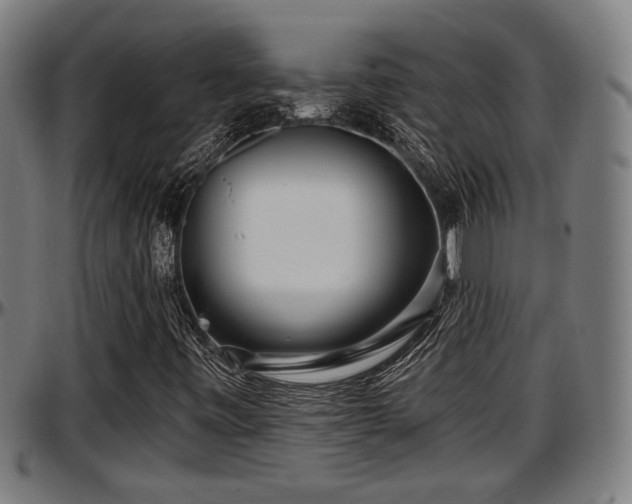 X0000097471443200802291259