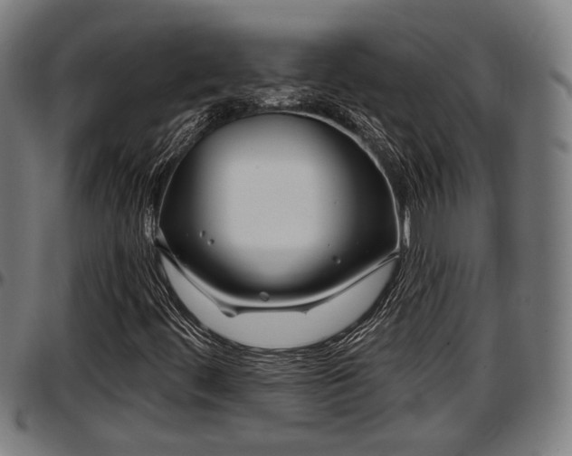 X0000097471444200802291259