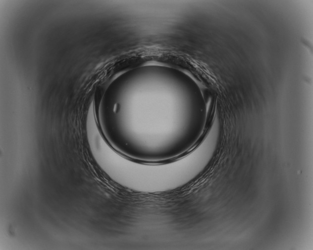 X0000097471445200802291259