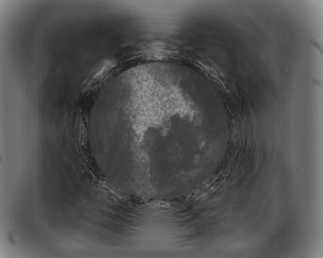X0000097471446200802291259