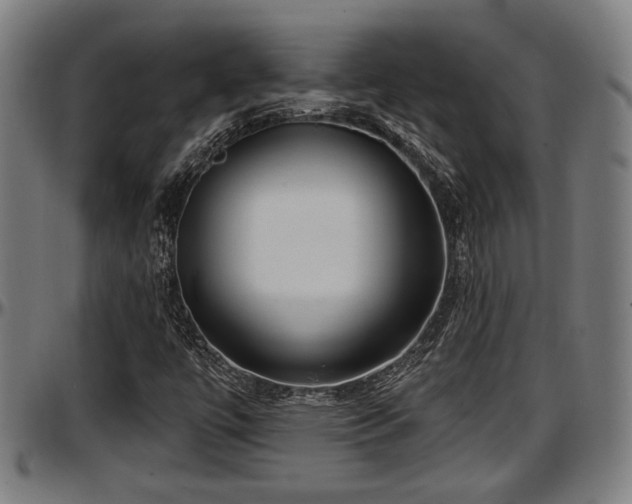 X0000097471447200802291259
