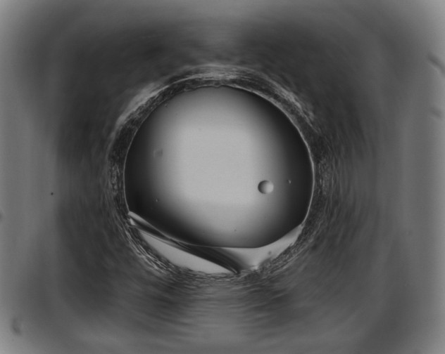 X0000097471448200802291259