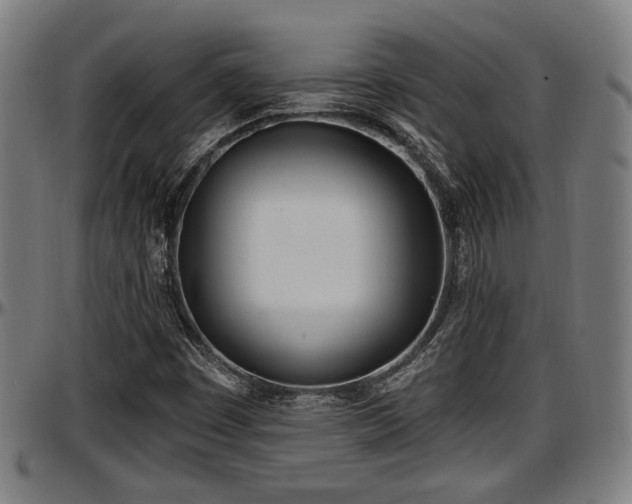 X0000097471449200802291259