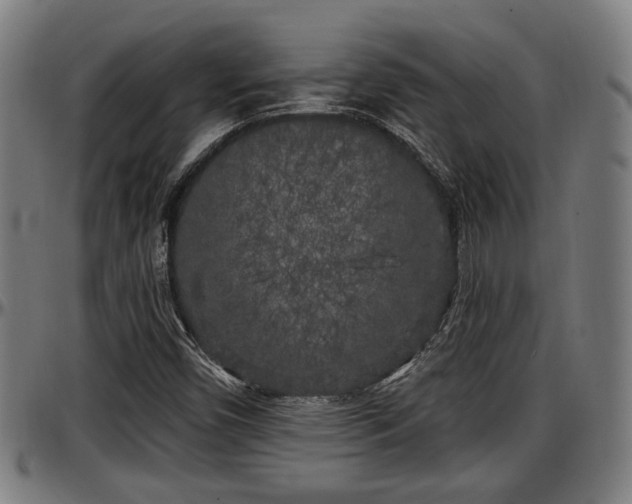 X0000097471450200802291259