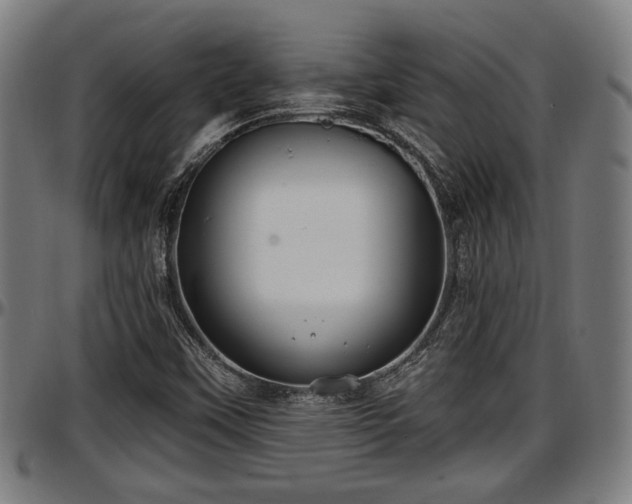 X0000097471451200802291259