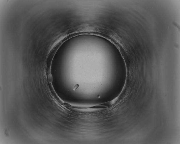 X0000097471452200802291259