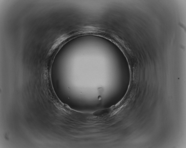 X0000097471453200802291259