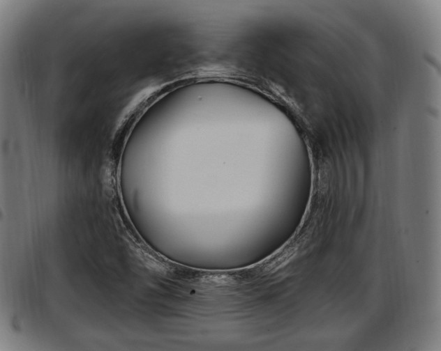 X0000097471454200802291259