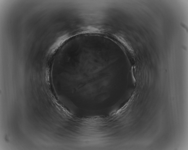 X0000097471455200802291259