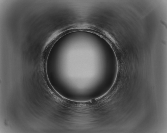 X0000097471456200802291259