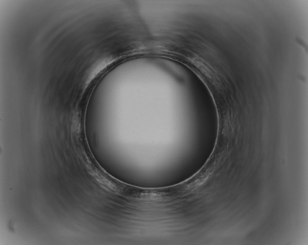 X0000097471458200802291259