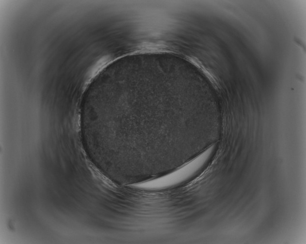 X0000097471459200802291259