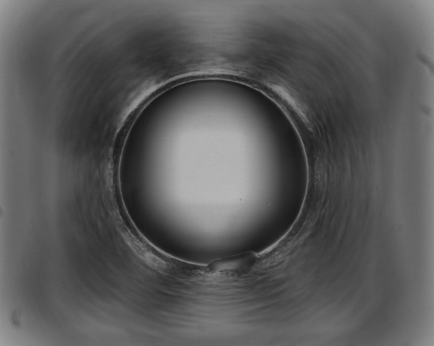 X0000097471460200802291259