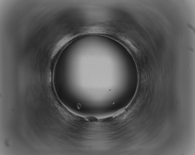 X0000097471461200802291259