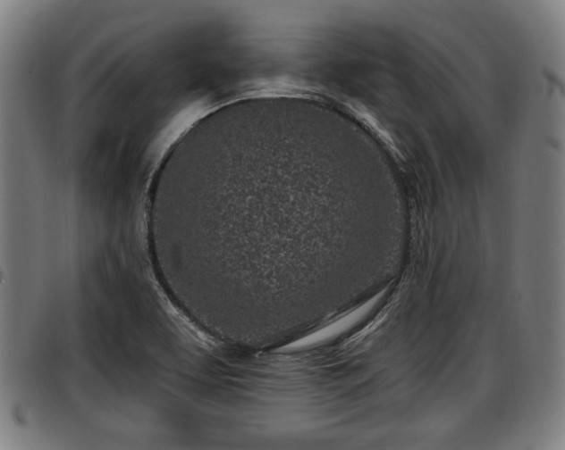 X0000097471463200802291259