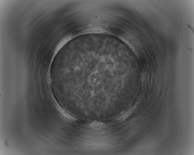 X0000097471466200802291259
