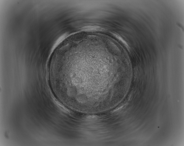 X0000097471467200802291259
