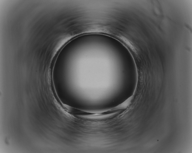 X0000097471468200802291259