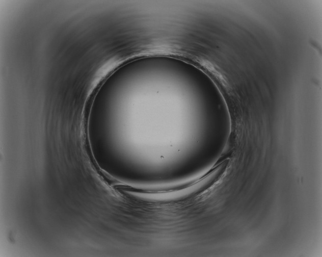 X0000097471469200802291259