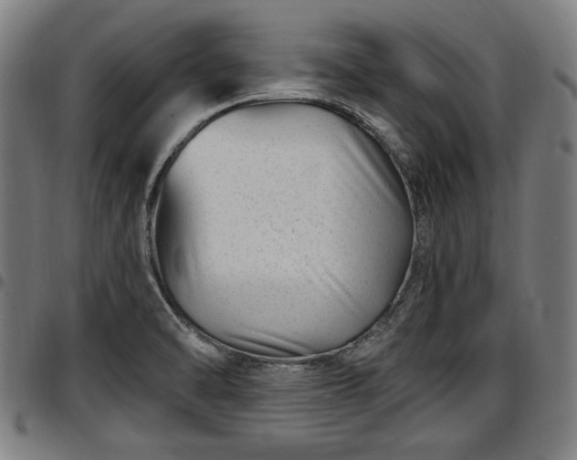 X0000097471470200802291259