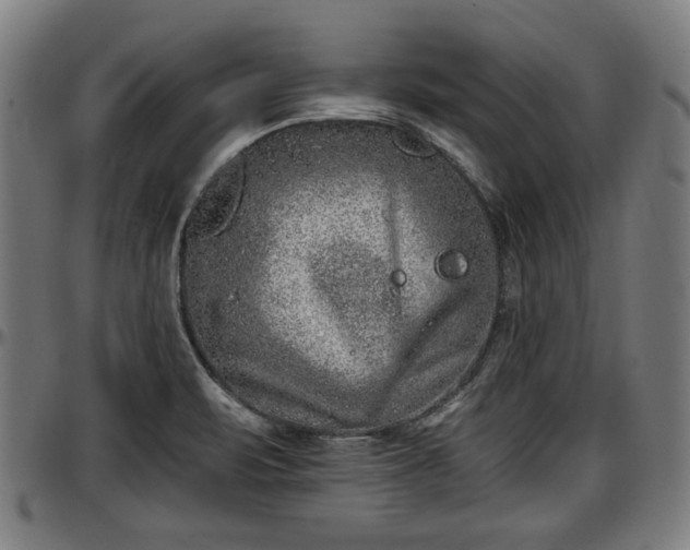X0000097471471200802291259