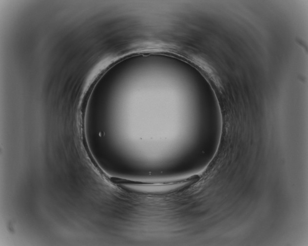 X0000097471472200802291259