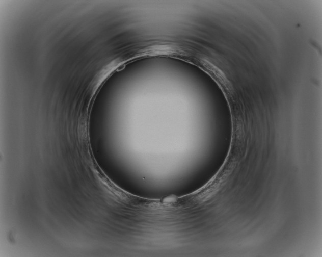 X0000097471473200802291259