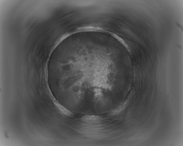 X0000097471474200802291259