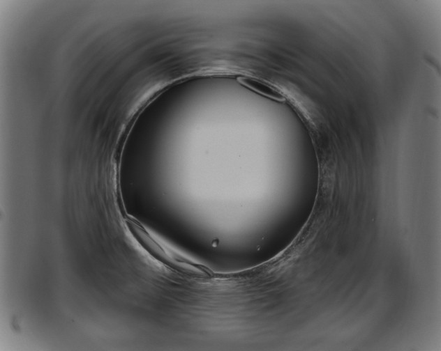 X0000097471476200802291259