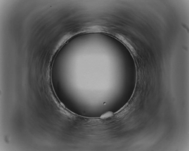 X0000097471477200802291259