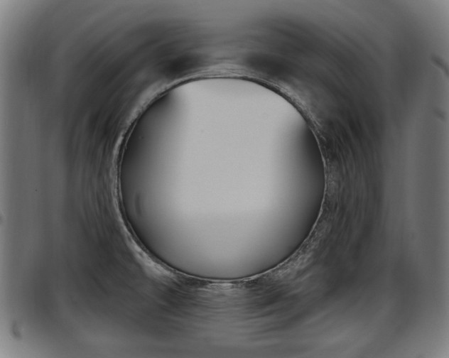 X0000097471478200802291259